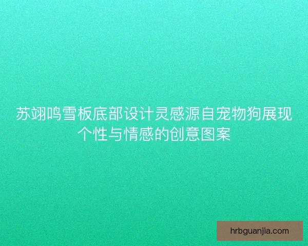 苏翊鸣雪板底部设计灵感源自宠物狗展现个性与情感的创意图案